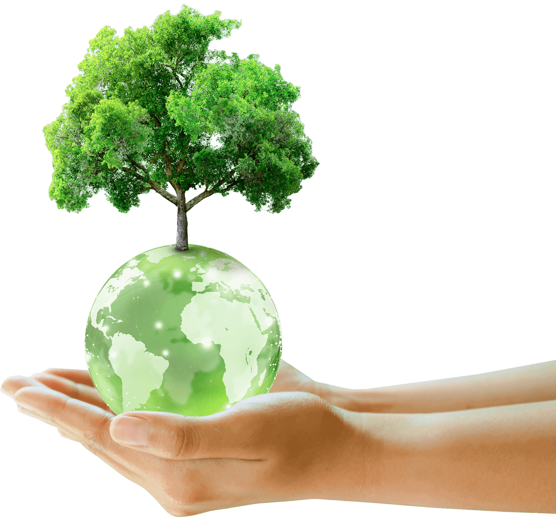 sustainability asset