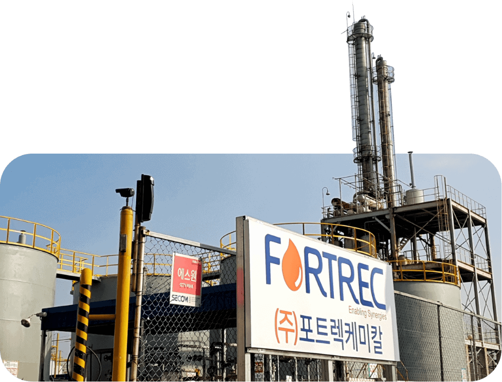 timeline 2019 mar asset new